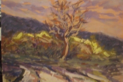 AUTUNNO A PIETRANERA DI ROVEGNO