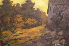 CASA NEL BOSCO