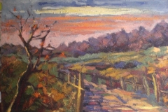 PIETRANERA DI ROVEGNO